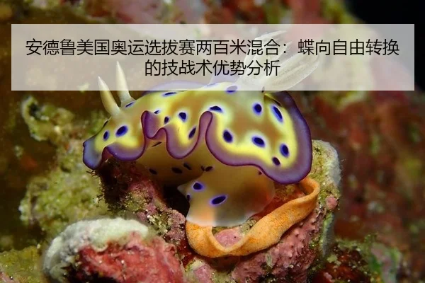 安德鲁美国奥运选拔赛两百米混合：蝶向自由转换的技战术优势分析